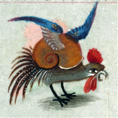 snailcock