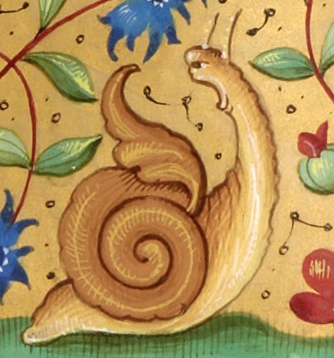 illustration of a screaming snail